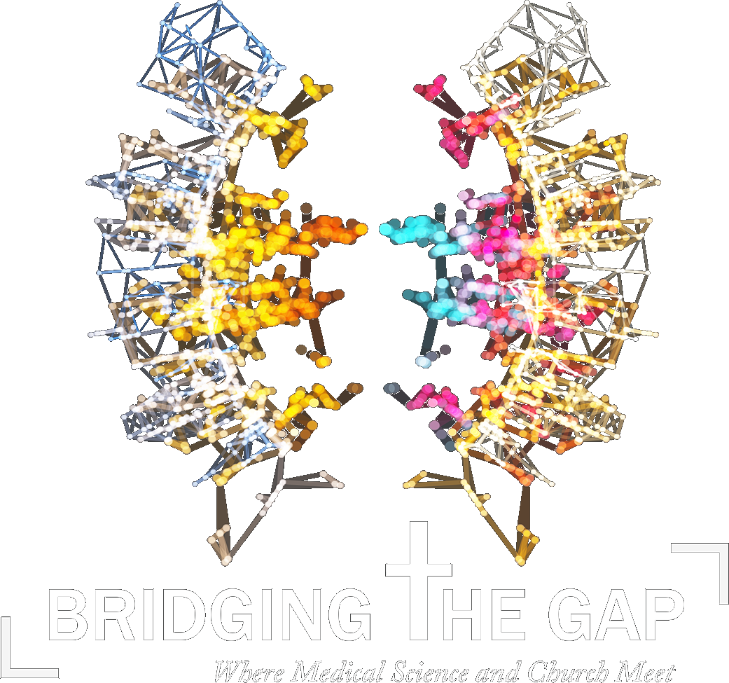 Bridgingthegapllogo