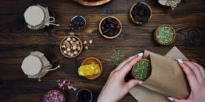 Envato license