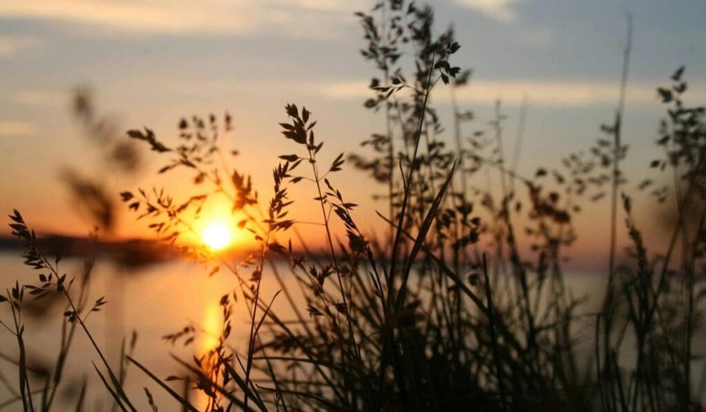 Pexels Brittany 17733 87812