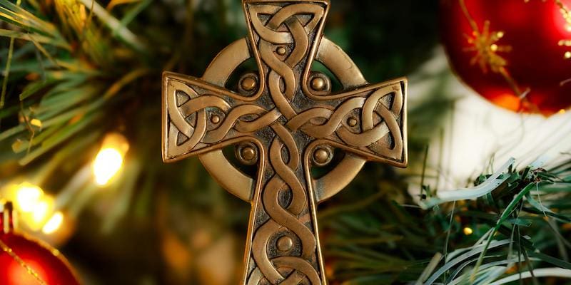 Pexels Balanisph 35073945