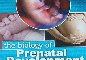 Biology of Prenatal Development – DVD from The Endowment for Human Development, distributed by National Geographic