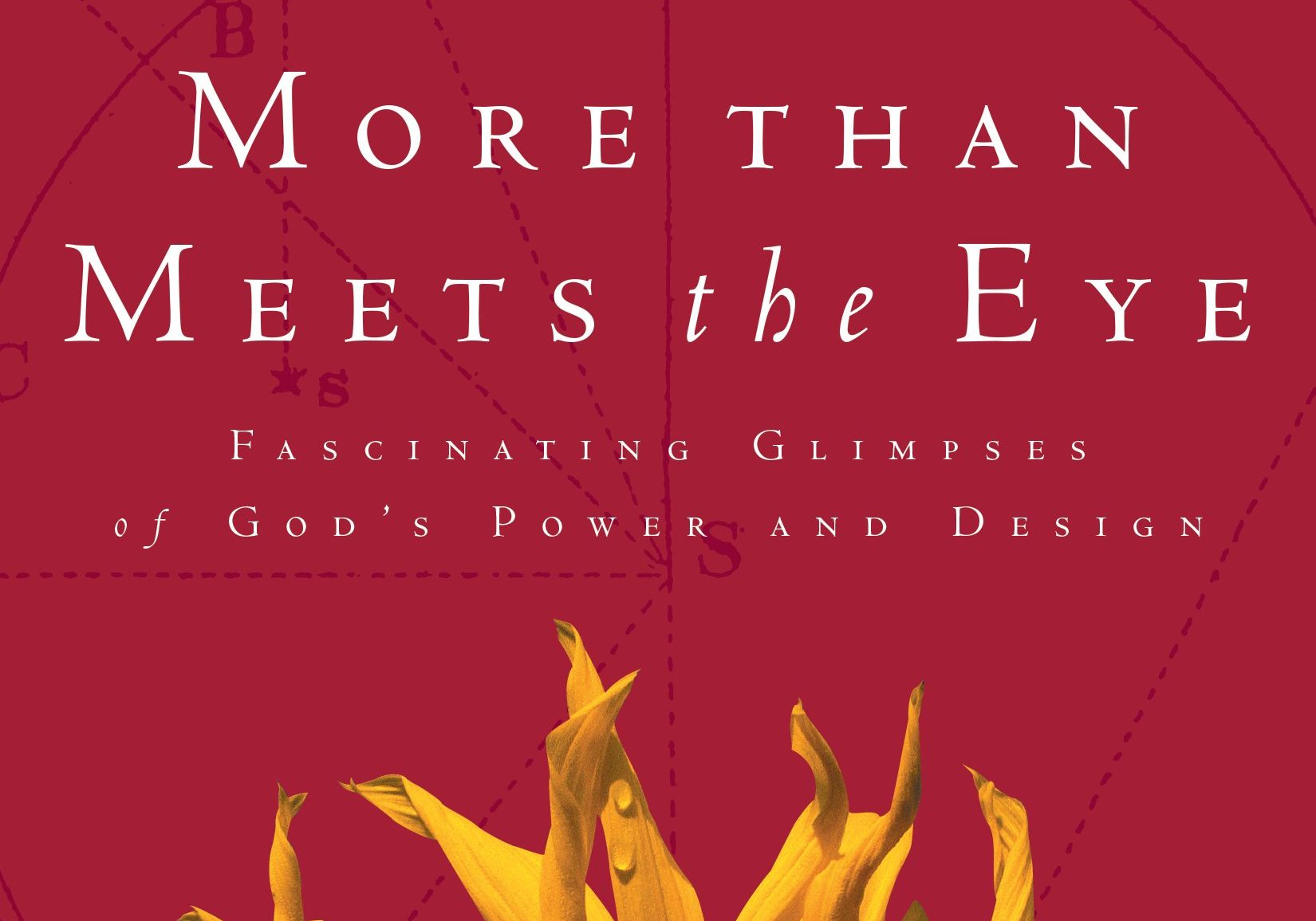 More Than Meets the Eye by Richard A Swenson, MD