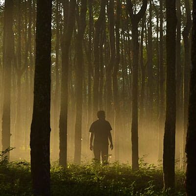 Pexels Haydan As Soendawy 730525 2883460