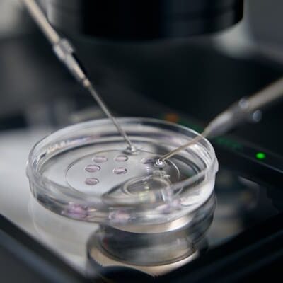 Working with a micromanipulator in a specialized laboratory, this is the process of fertilizing an egg